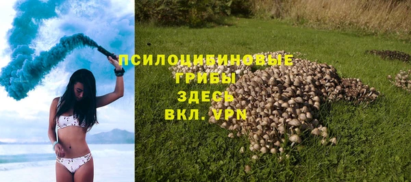 сатива Володарск