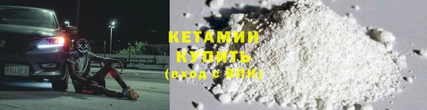 прущие грибы Вязьма