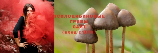 PSILOCYBIN Верхний Тагил