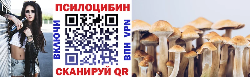 Псилоцибиновые грибы MAGIC MUSHROOMS  ОМГ ОМГ   Зубцов 